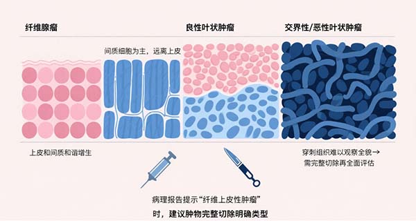 图片30.jpg 图片30.jpg