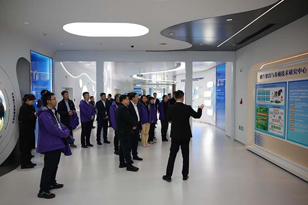 图片41.jpg 图片41.jpg