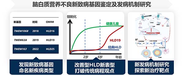 图片45.jpg 图片45.jpg