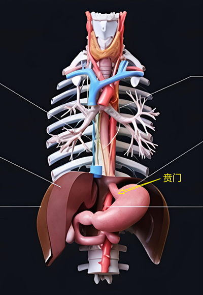 图片3.jpg 图片3.jpg