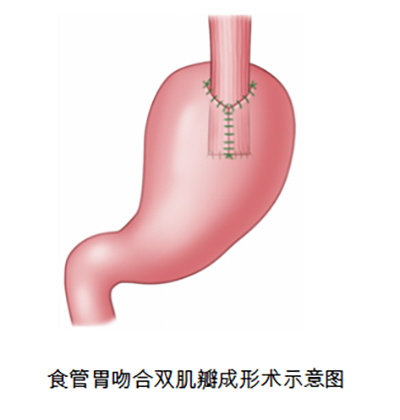 图片5.jpg 图片5.jpg