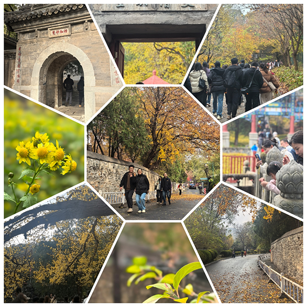 图片49.jpg