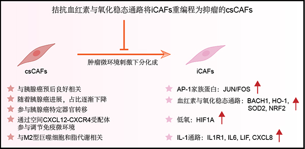 图片3.jpg 图片3.jpg