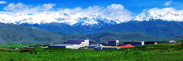 图片6.jpg 图片6.jpg
