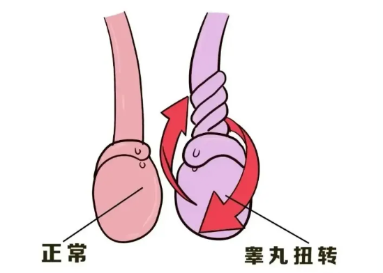 3.png 3.png