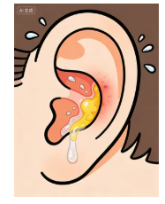 11.png 11.png
