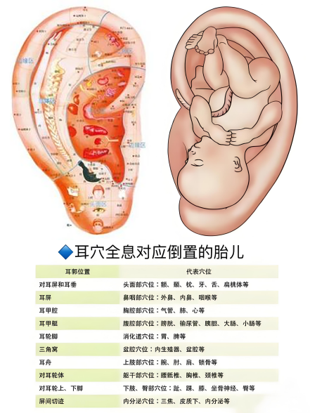 图片10.png 图片10.png