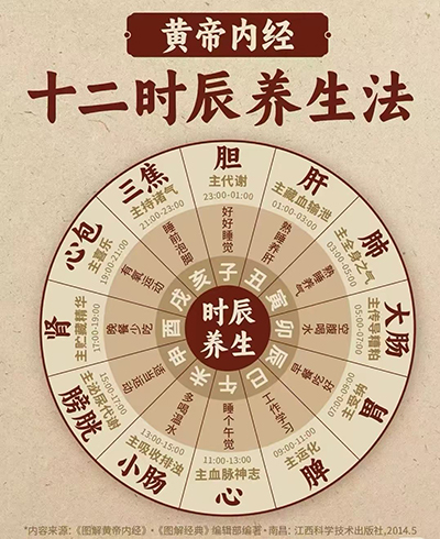 图1-子午流注图.jpg 图1-子午流注图.jpg
