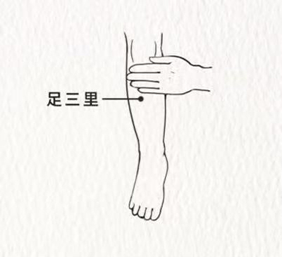 图7-足三里.jpg 图7-足三里.jpg