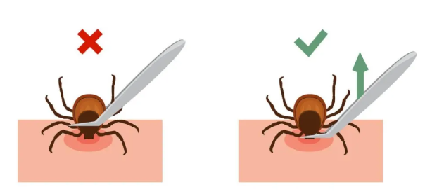 3.png 3.png