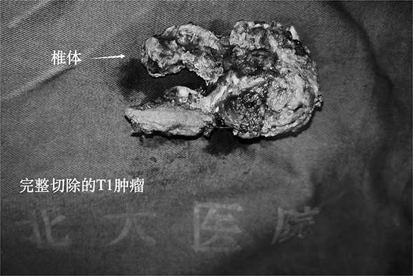 图片9.jpg 图片9.jpg