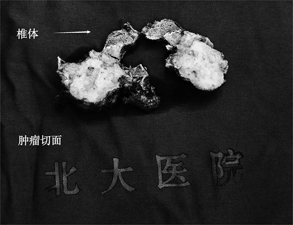 图片10.jpg 图片10.jpg