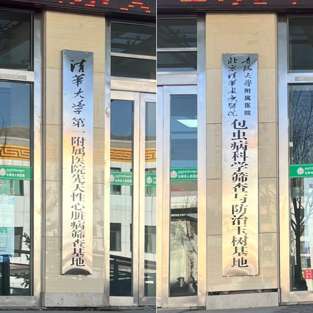 玉树1.jpg 玉树1.jpg
