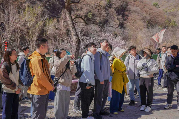 图片9.jpg