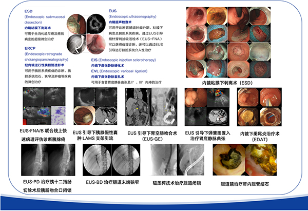 图片4.jpg 图片4.jpg