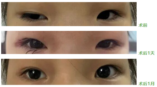 图片2.jpg 图片2.jpg