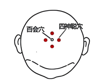 图片11.png 图片11.png