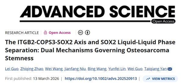 图片9.jpg 图片9.jpg