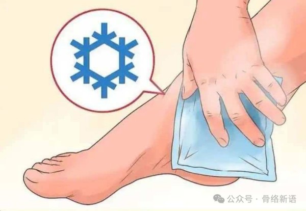 图片2.jpg 图片2.jpg