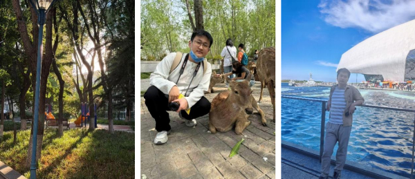 拼图5.jpg 拼图5.jpg