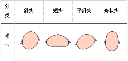 表格.jpg