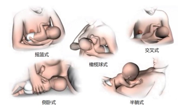 图片4.jpg 图片4.jpg