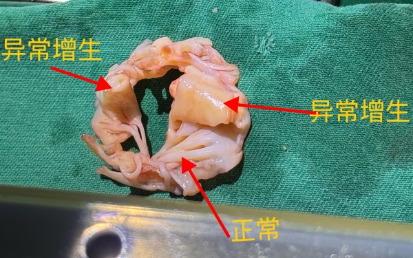 图片3.jpg 图片3.jpg
