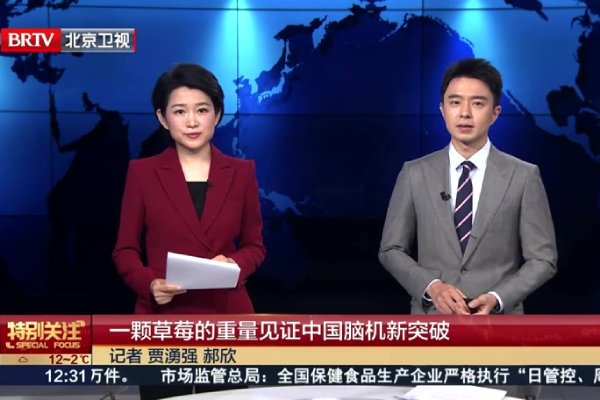 一颗草莓的重量见证中国脑机新突破