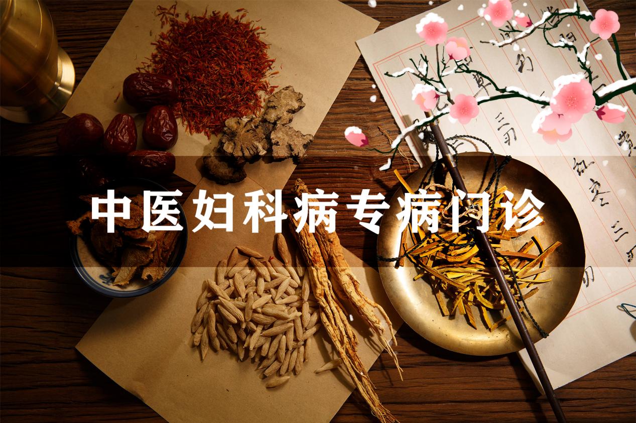 微信图片_20241122160031 拷贝