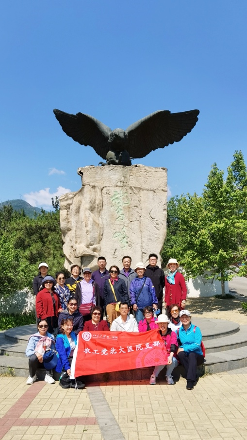 图片 4